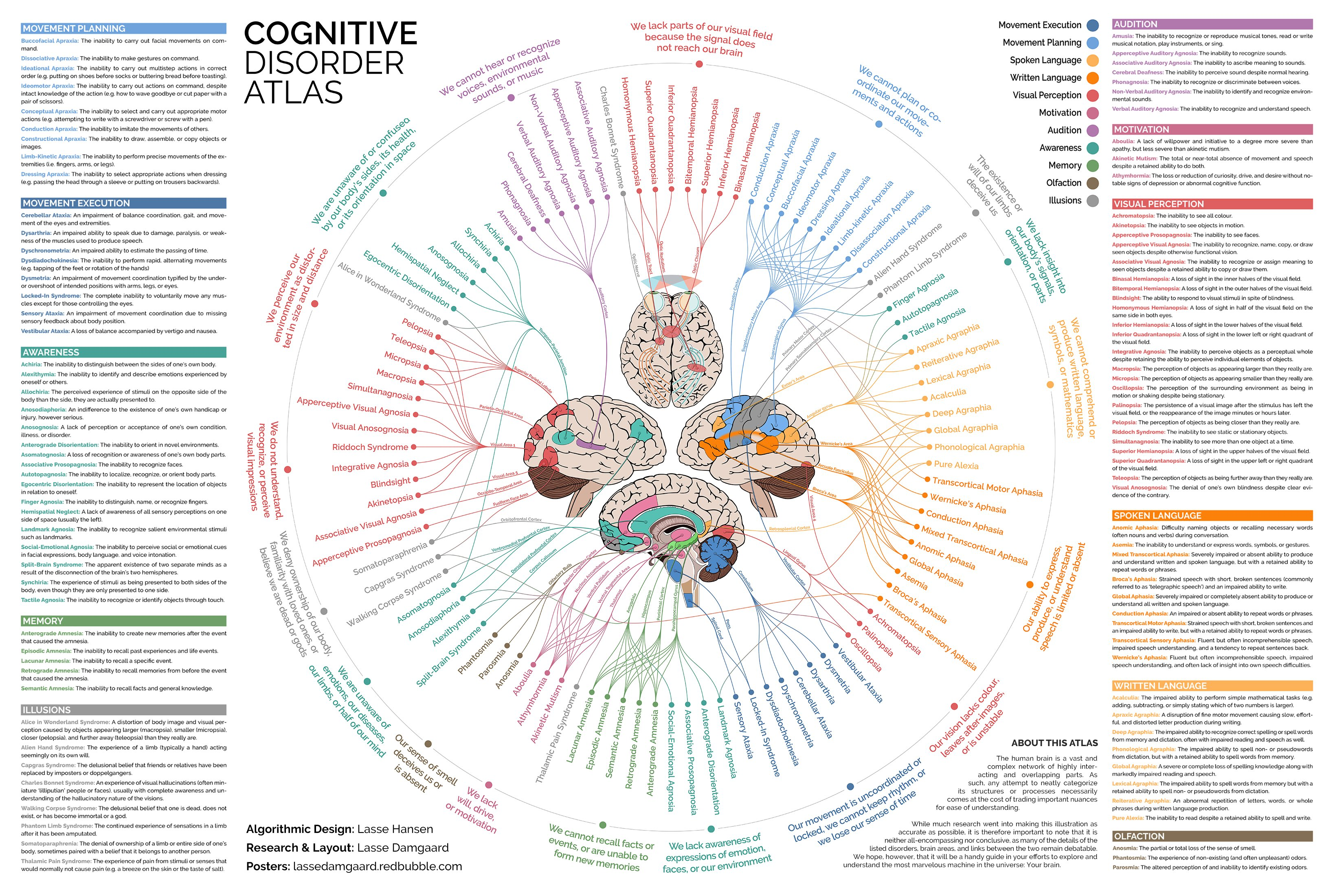 Biology - cognitive disorders.png